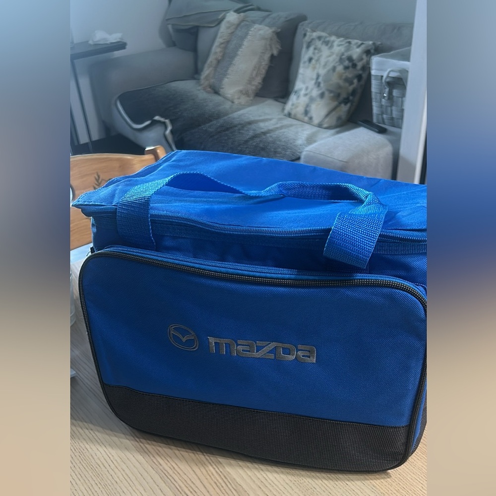 Blue and Black Men's Bag